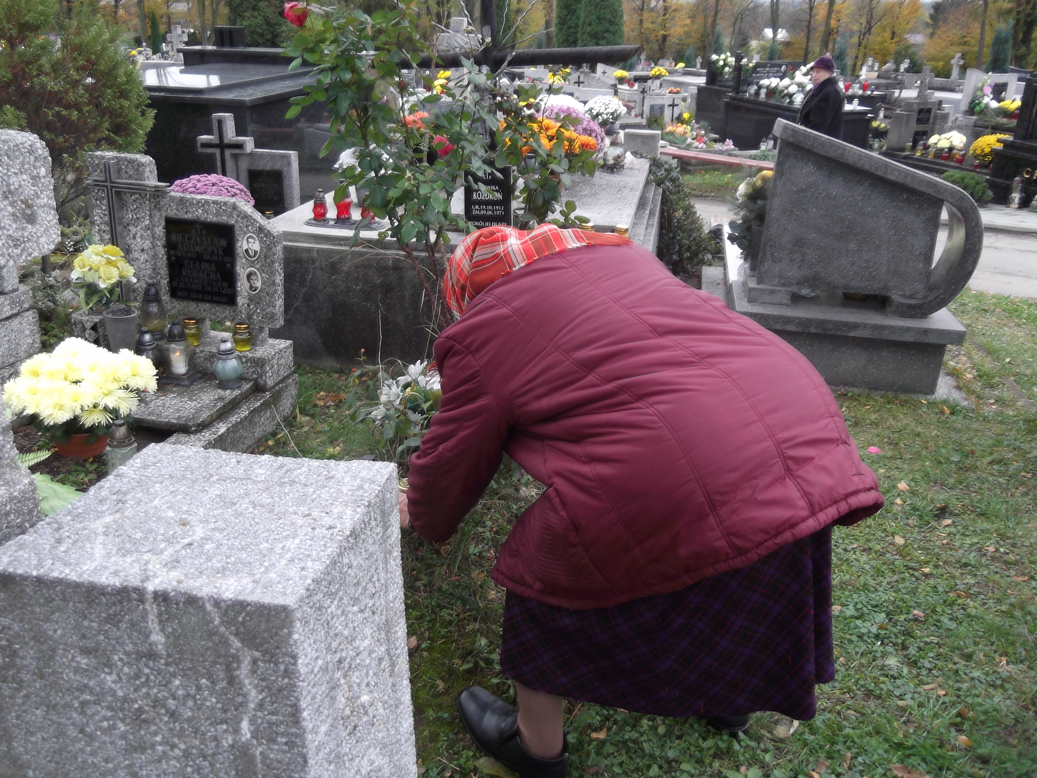 Seniorka sprząta grobowiec