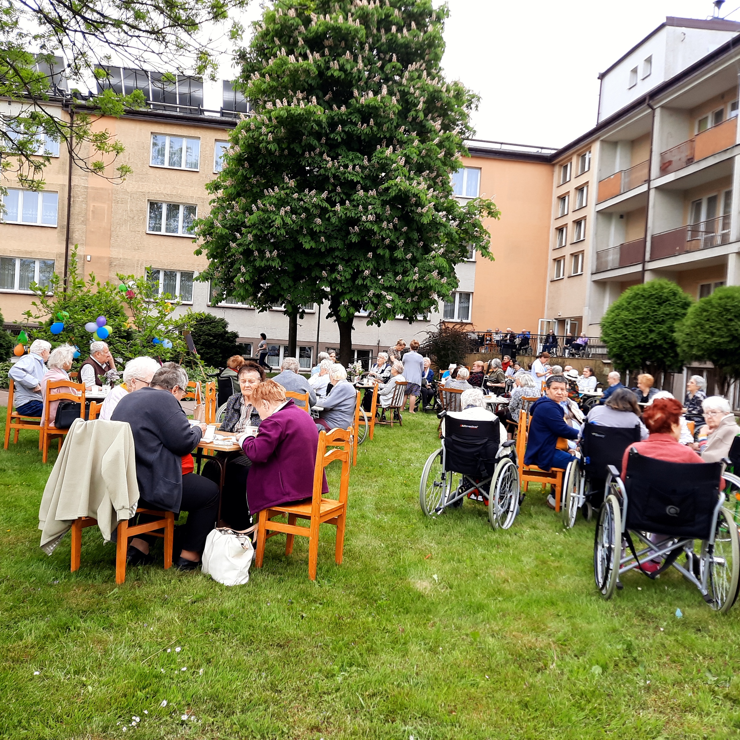 Duża grupa seniorów, siedząca przy kilkunastu stołach, w ogrodzie Domu