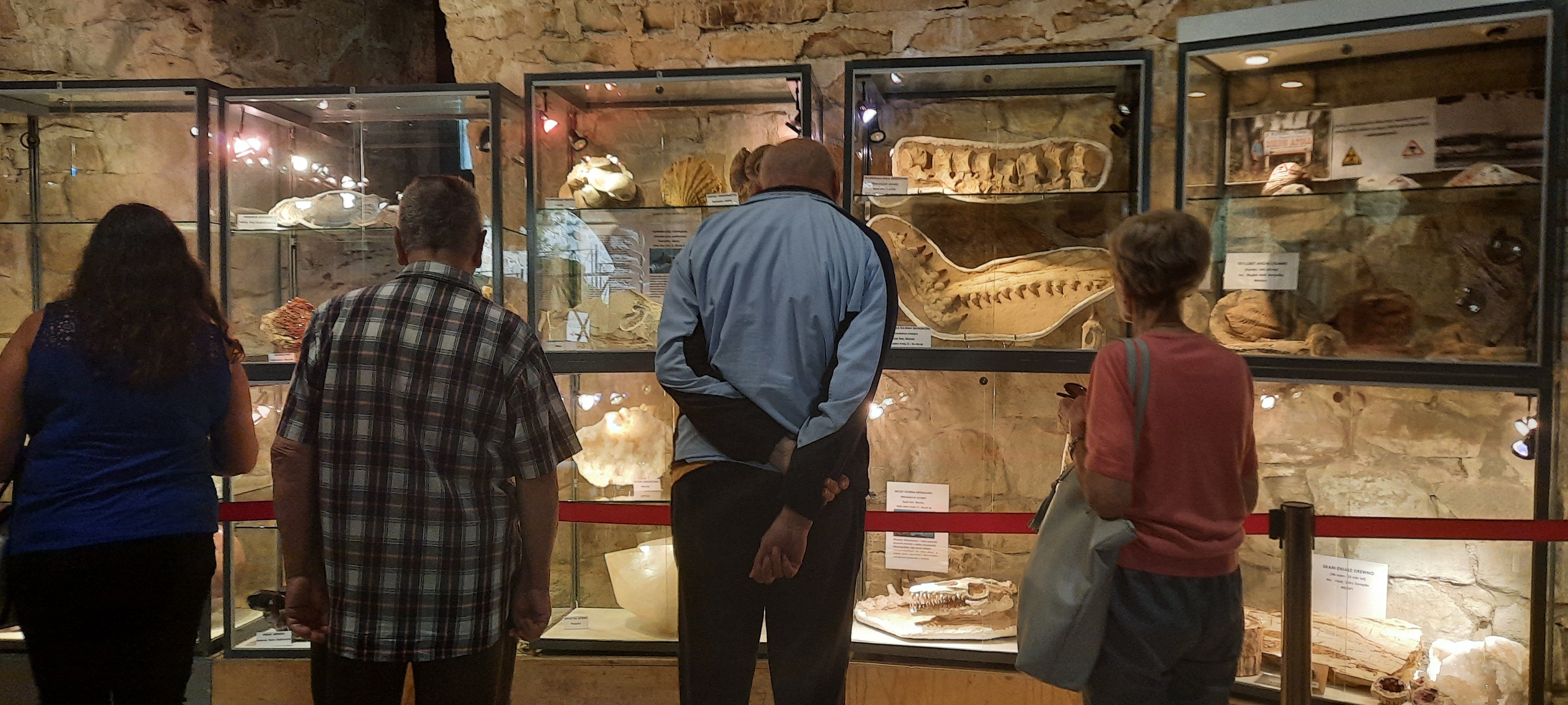 Seniorzy oglądają okazy muzealne za szybą